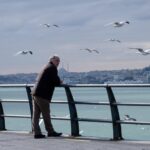 静岡県の見守りサービスはどれが安心？緊急駆けつけとの違いと併用のすすめ｜こころ整理本舗